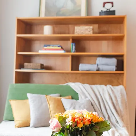 Spacious Family Along River Side, In The Heart Of Buda *